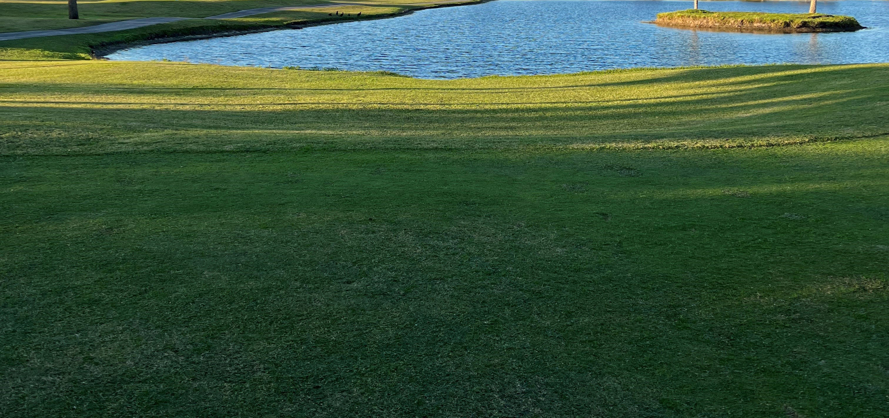 Vista Plantation Golf Club: Golf Club in Vero Beach, FL